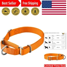 Comfort Meets Style: Adjustable Martingale Dog Collar in Orange for All Sizes