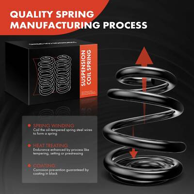 Set of 2 Rear Left & Right Coil Springs for Toyota RAV4 2006-2018