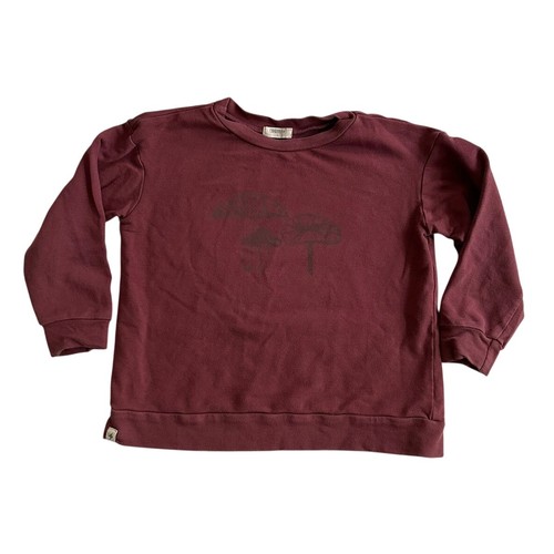 Kid's Mushroom Sweatshirt