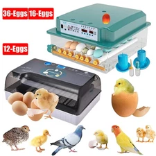 Intelligent Eggs Incubator Fully Automatic Chicken Duck Goose & Pigeon Incubator