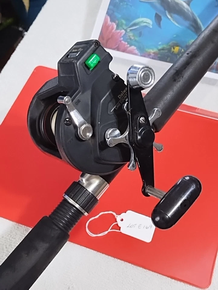 Trolling Fishing Rod And Reel Daiwa Sealine 6'6"med Heavy 12-30lb 1pc - Image 3 of 4