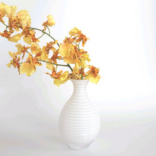 Vintage Mini gerippte Milchvase H8 cm Durchmesser 10 cm