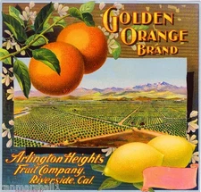 Riverside Arlington Heights Golden Orange Citrus Fruit Crate Label Art Print