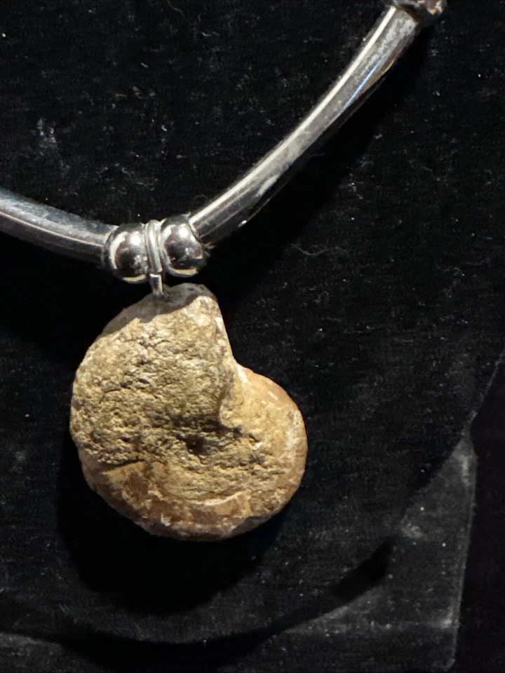 Collar de amonita fósil concha con detalles de color plata Foto 2 de 4