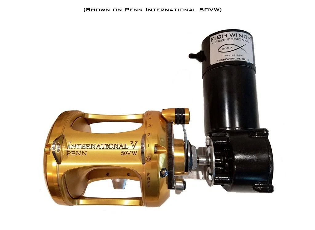 Penn International 30tw | eBay