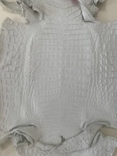 REAL CAIMAN (CROCODILE) LEATHER BELLY IN CRUST FULL SKIN MANY SIZES