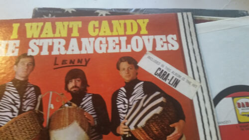 The Strangeloves I Want Candy 1965 Bang 211 Mono w/Hype Sticker orig psych lp !! - Picture 3 of 4