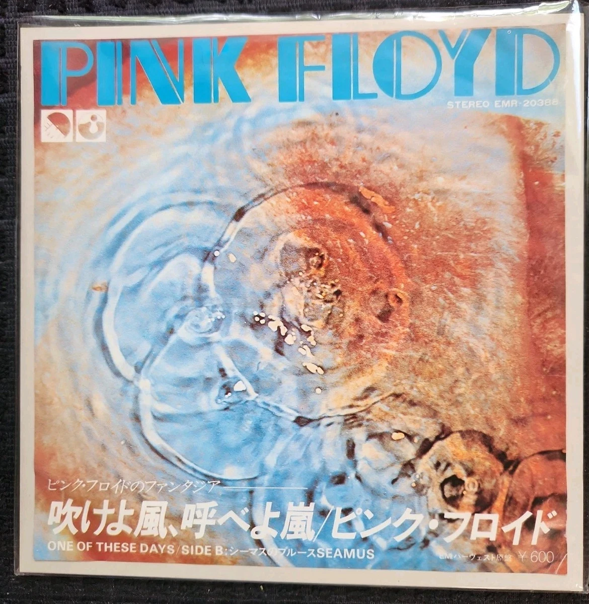 Roger Waters 7