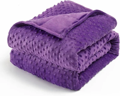 Minky Dot Weighted Blanket for Adults Queen Size 15 Lbs, Soft Heavy Blanket for