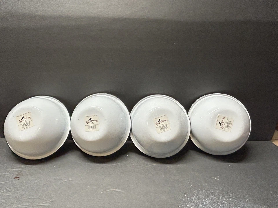 Nuevo con etiquetas Juego de 4 tazas de café de té Crow Canyon esmalte blanco con borde negro Foto 4 de 4
