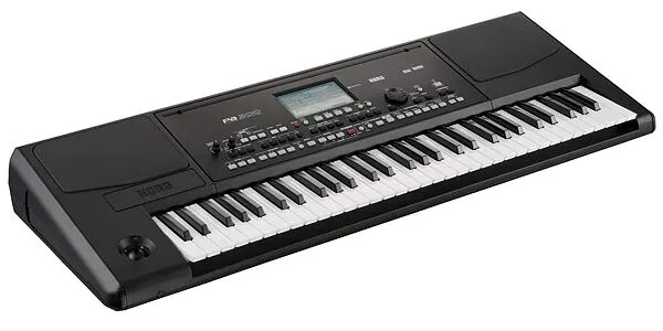 Korg PA300 Key Professional Arranger for sale online | eBay