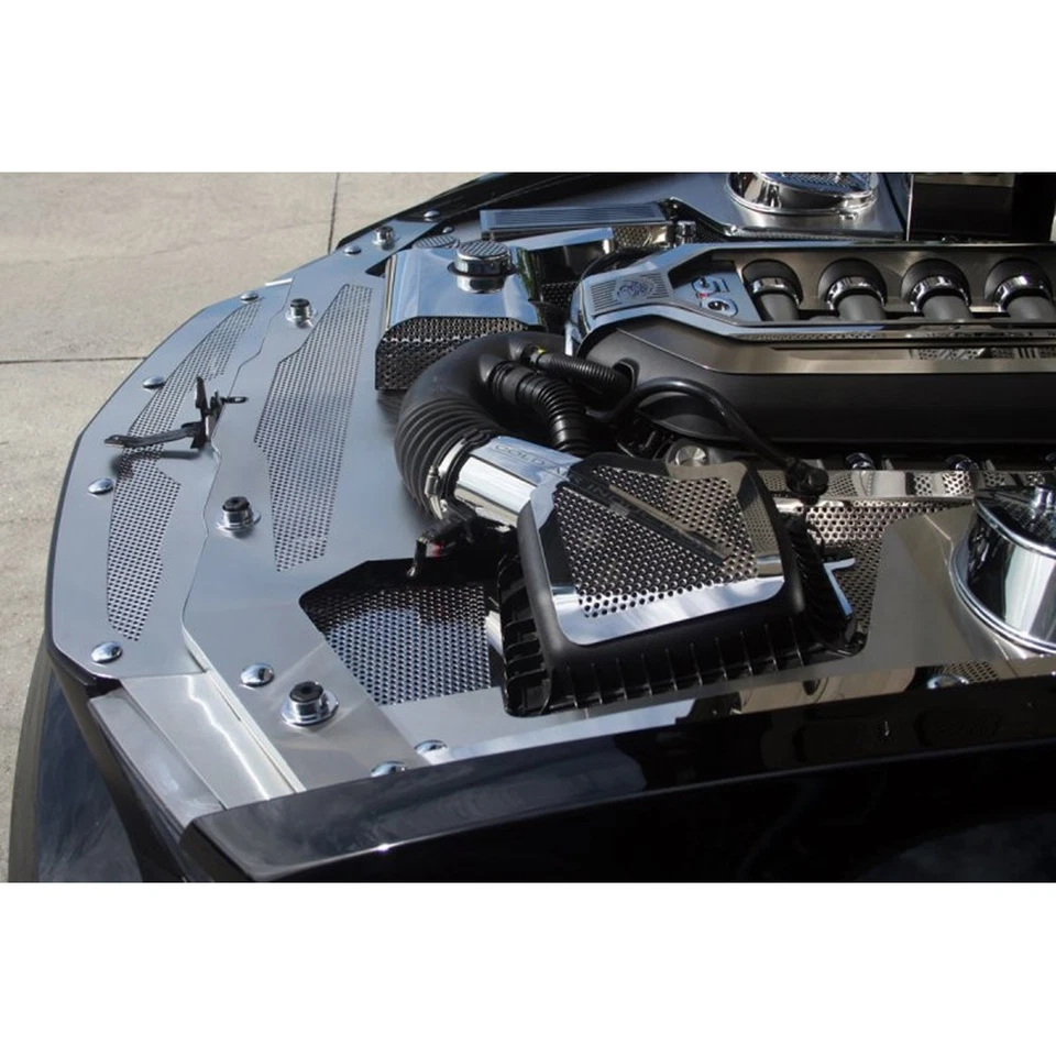 Placa de cabezal para Ford Mustang GT 2011-2012 [acero inoxidable/cepillado/perforado] Foto 4 de 4