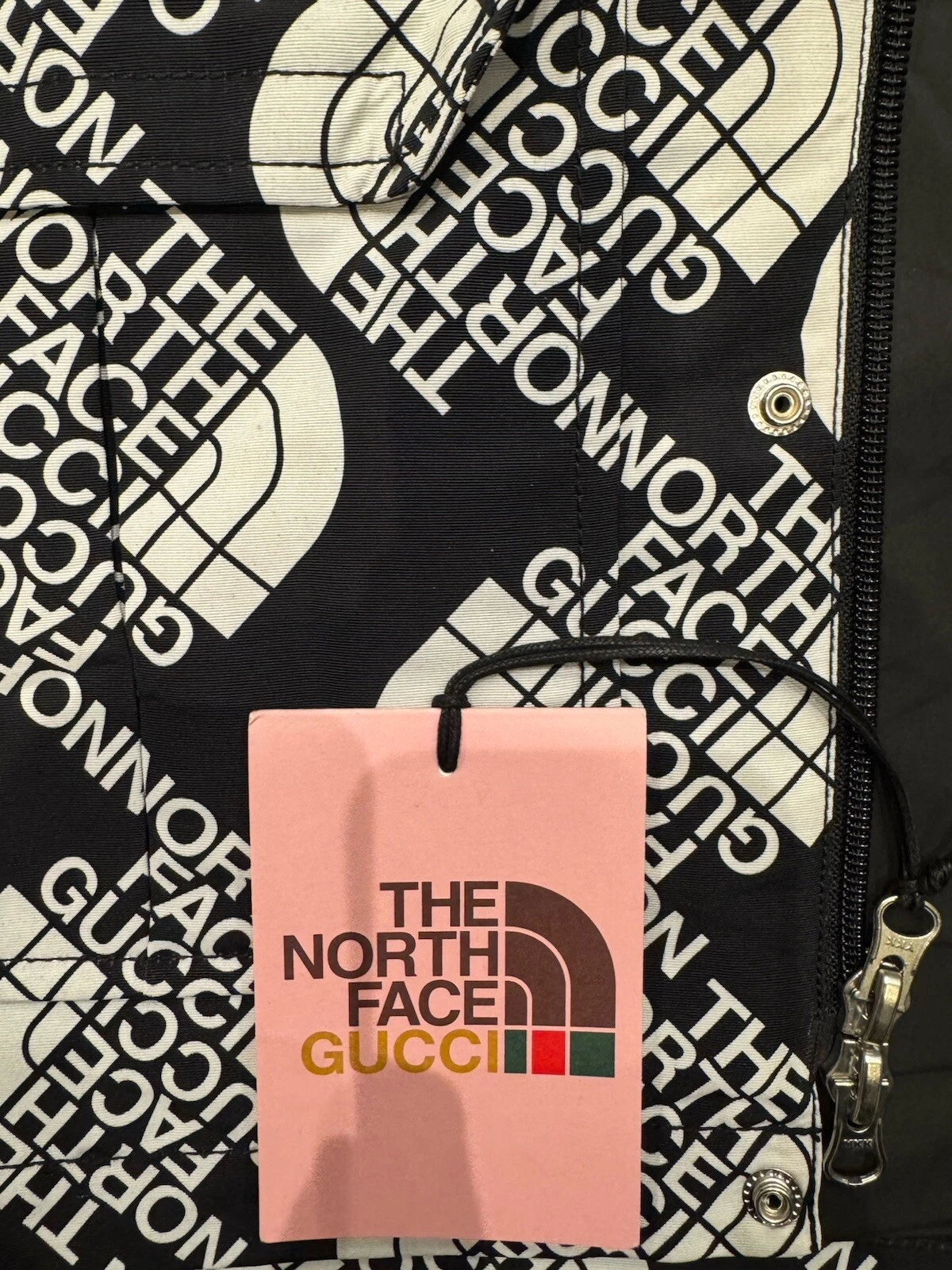 giacca gucci x north face