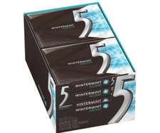 Five 5 Gum Winter-Mint Ascent Sugar-Free Gum, 15 Count (Pack of 10)