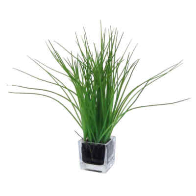 Künstliches Gras, Gräser, GRASBUSCH mit WURZELBALLEN ca. 30cm. Im GLAS ca 6x6cm.