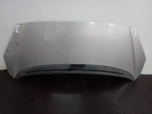 Capo para PEUGEOT 1007 * 2006 6583957 - Imagen 1 de 10