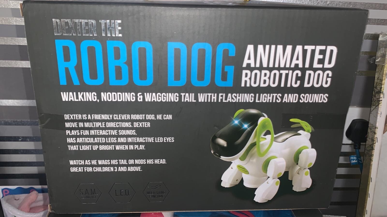 dexter the robot dog