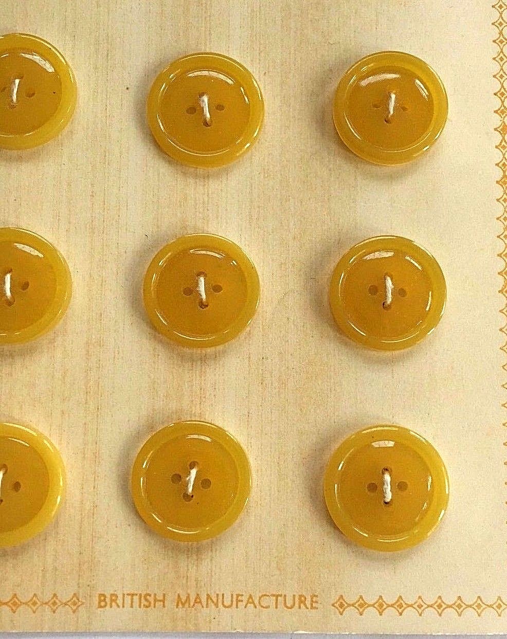 Foto 1 di 7