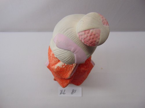 HAKATA BISQUE DOLL MADE IN JAPAN GEISHA FIGURE STATUE 10" TALL ASIAN ART MCM - Picture 9 of 11