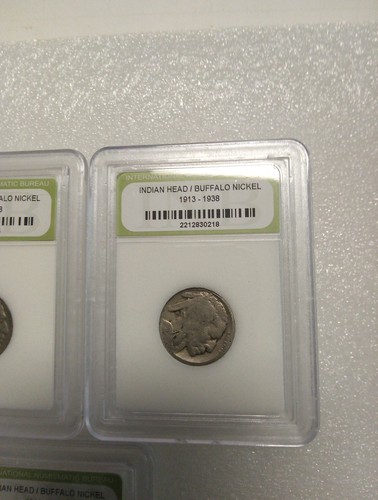 5-Slabbed, NO DATE, nichel di bufalo indiano/testa 1913-1938 - Foto 4 di 11