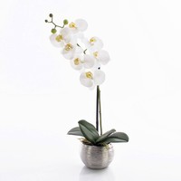 Artplants KüNstliche Phalaenopsis Orchidee Emilia, Weiß, Im Topf, 50Cm