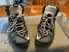 Nike LeBron 12 BHM - 718825-001 for Sale | Authenticity Guaranteed