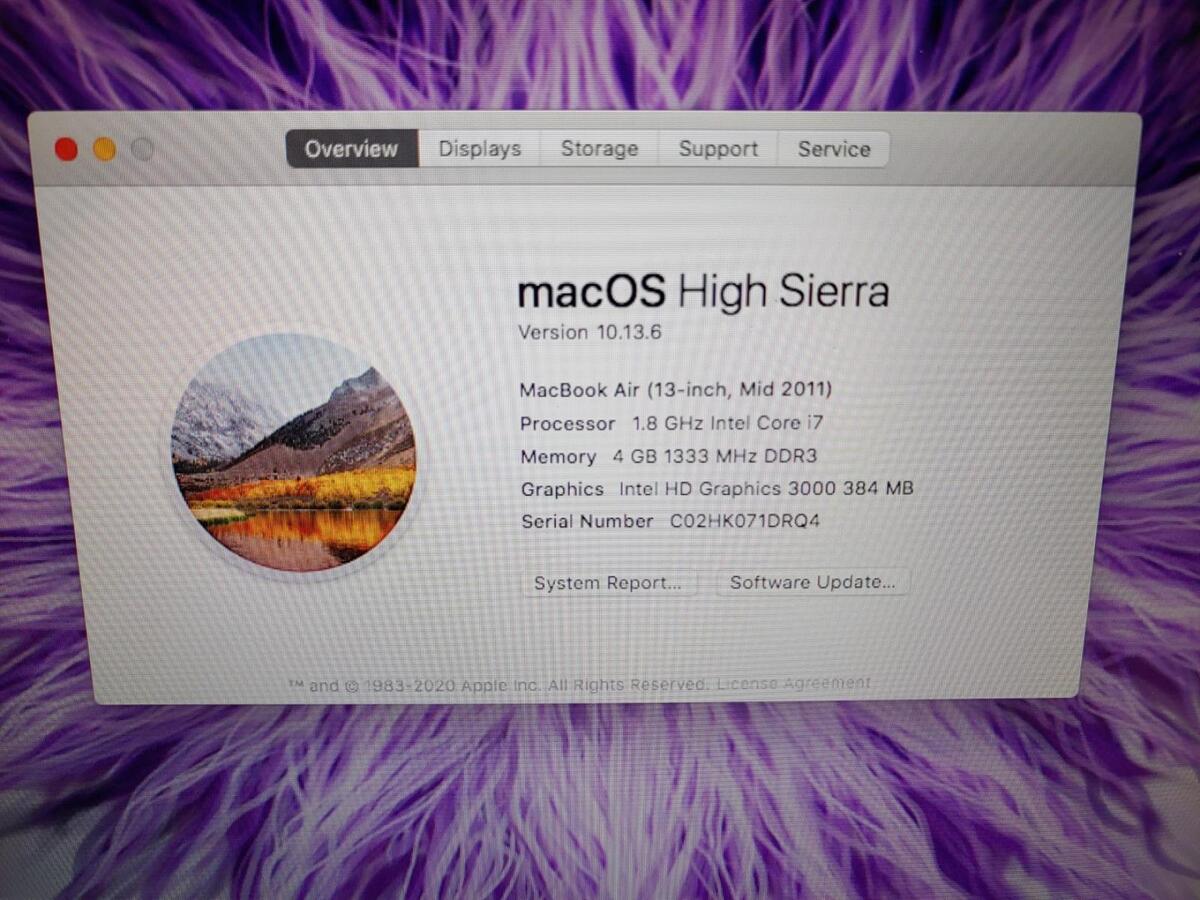 Apple 13 Apple 13