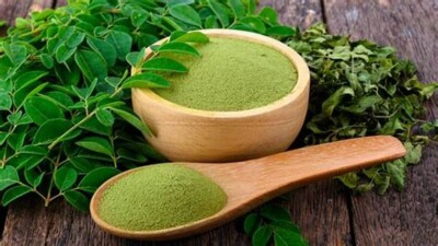 Organic Moringa Oleifera Drumstick leaves Powder Natural Multi Vitamin FREE SHIP