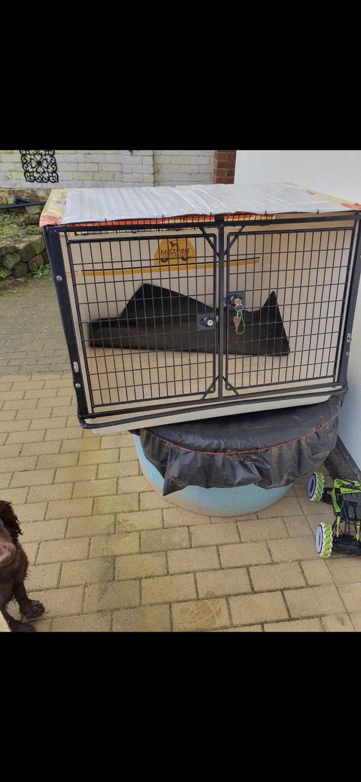 LINTRAN Transit Box For Dogs eBay