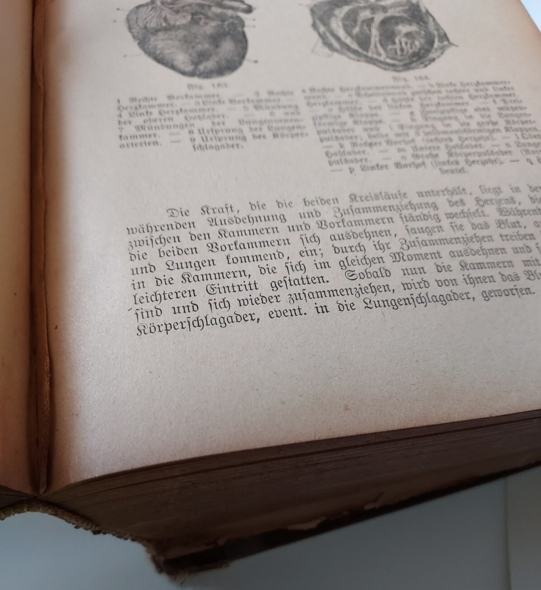 Bilz Natural Healing Process German Medical Book Old Bilz Natural Healing Process German Medical Book Old