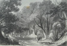 ENGLAND Arden Forest in Warwickshire Deer Family Stream - 1854 Engraving Print