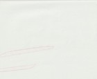 The Twelve Kingdoms Juuni Kokki Genga Douga Original Sketches Pierrot - Youko — photo 4