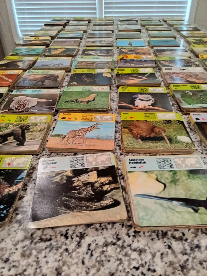 Rencontre Safari Cards Of Knowlege 1970s Huge Lot 3,400 w/ Trays Rencontre Rare. - Image 4 of 4