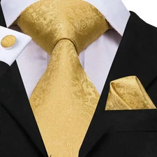 Hi-Tie Silk Men Tie Set Floral Yellow Gold Ties and Handkerchiefs Cufflinks Set 