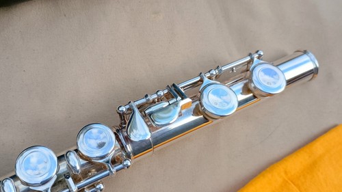 Pearl Closed Hole Flute Model PF-501 With Hard Case & Carrying Bag No Clean Rod - Picture 11 of 14