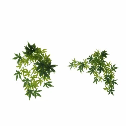 Terrario per rettili