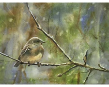 Wildlife painting of bird on branch.  Bird watercolor fine art green art (print)