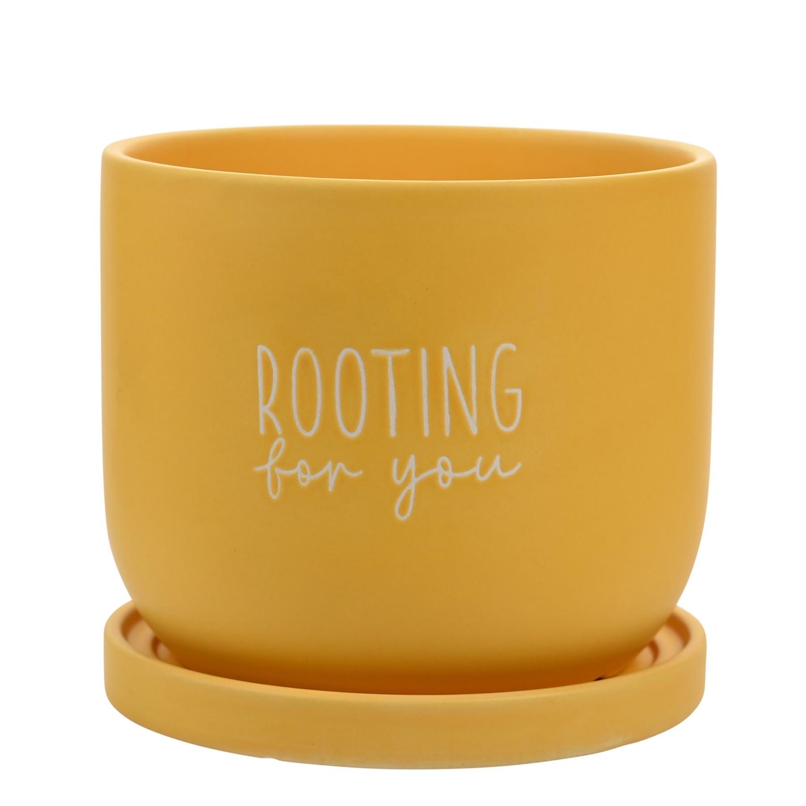 Ceramic Plant Pot Funny Planter Large Yellow Novelty Flower Pot Rooting For You