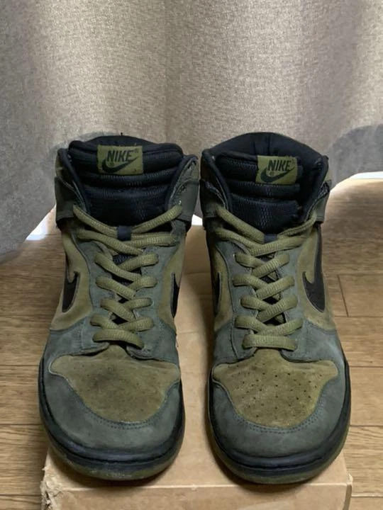 Nike Dunk High Pro Sb Hulk Todd Jordan 305050 303 Size Us11