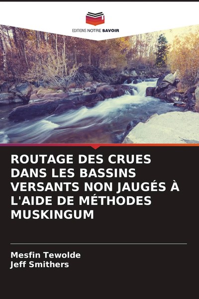 Routage DES Crues Dans LES Bassins Versants NON JaugÉS À L'aide DE MÉThodes...-image