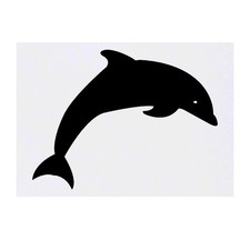 'Dolphin' Temporary Tattoos / Transfers TO00035352 