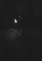 Paysage D'hiver - Nacht - Cd - G3Z