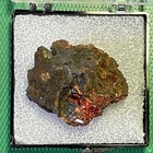 Crocite  Dundas-Romania Rock & Mineral Specimen — photo 1