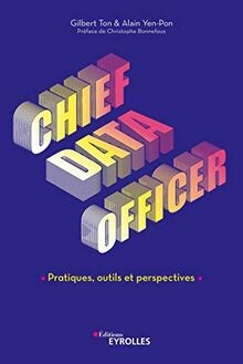 Chief Data Officer : Pratiques, outils et perspectives | Buch | Zustand gut