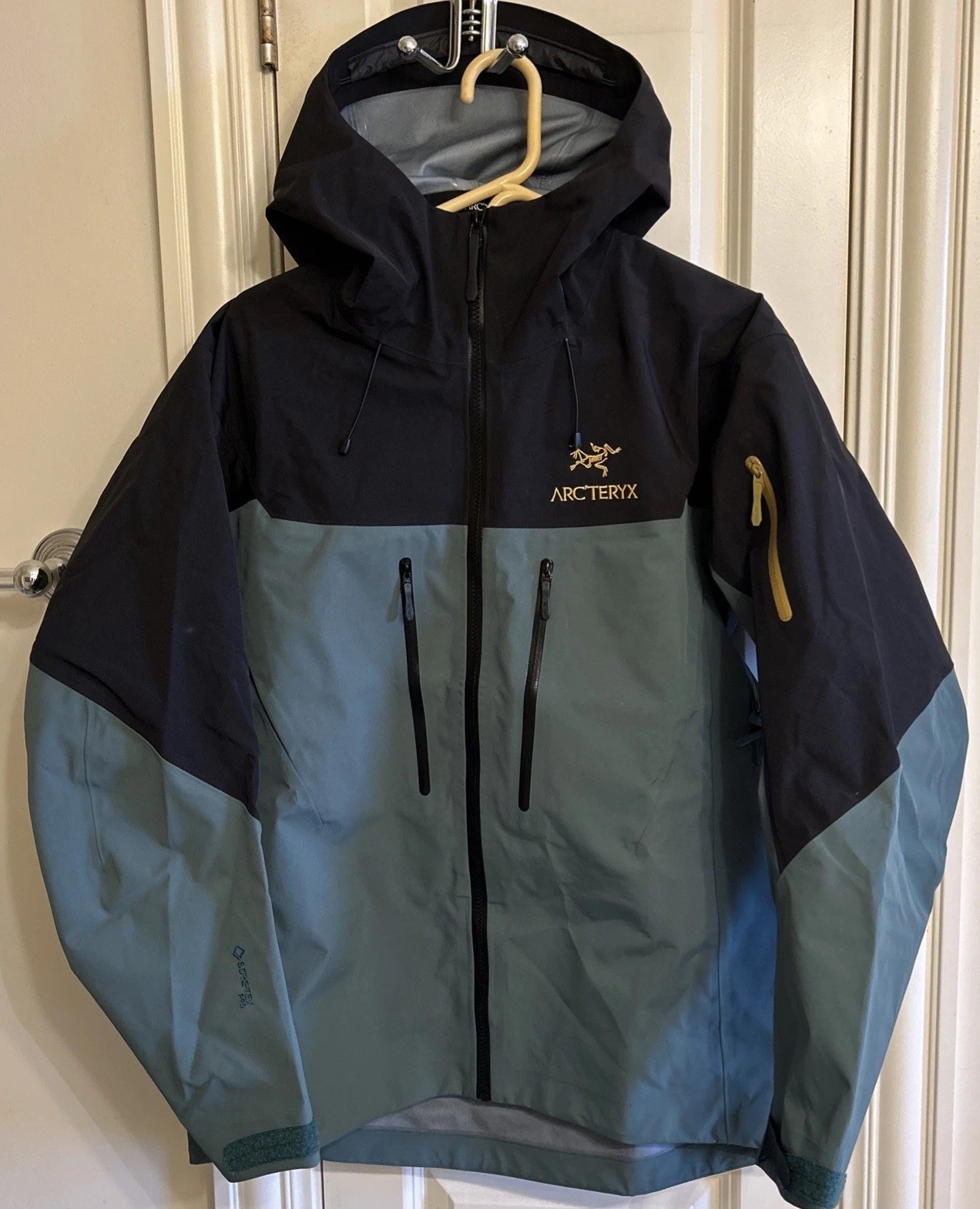 Arc’teryx Alpha SV Dark Magic Green and Black Rain Ski Jacket Size Men’s Medium