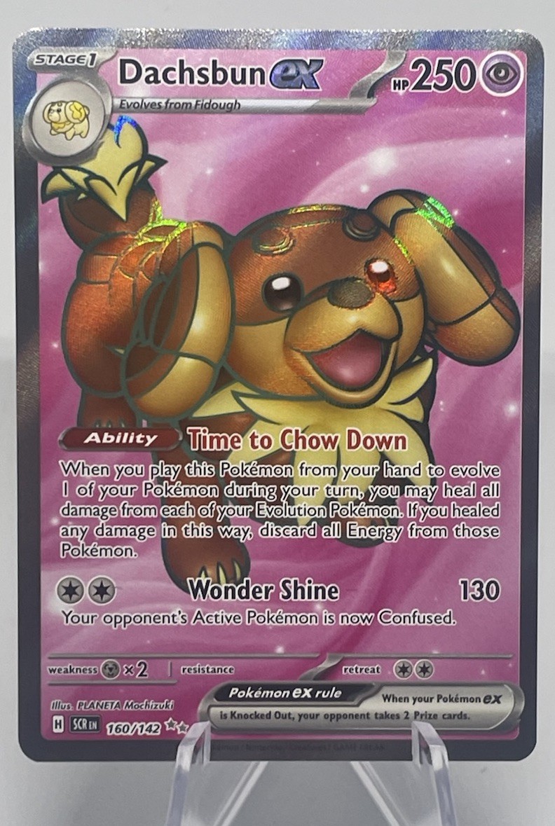 Dachsbun EX 2024 Stellar Crown Full Art Ultra Rare Pokemon Card 160/142 (NM)🔥
