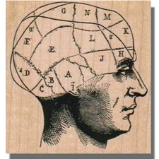Mounted Rubber Stamp, HEAD MAP, Skull, Face, Person, Brain, Science, Man,Letters