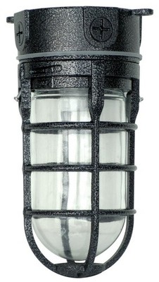 Woods L1706BLK Vandal Resistant 150W Incandescent Security Light, Ceiling Mou...