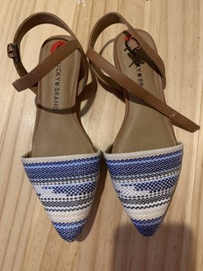 blue ankle strap flats