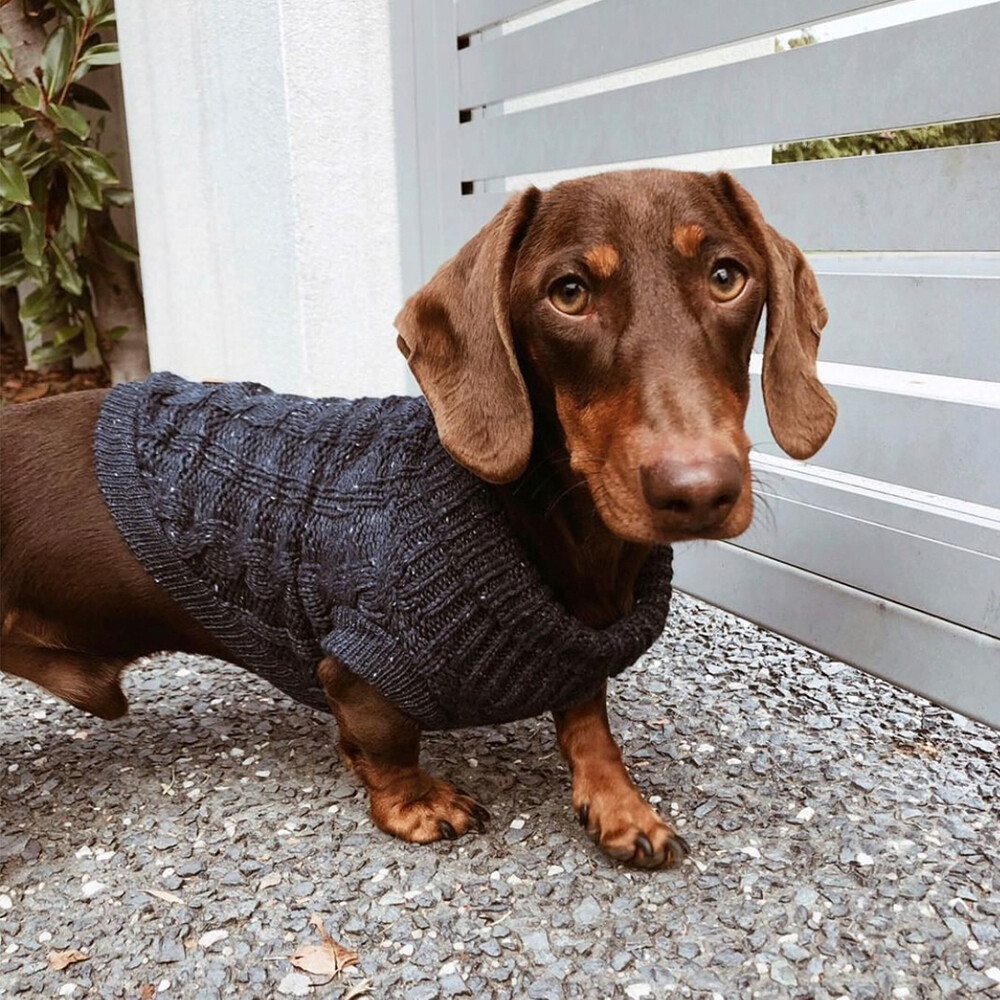 Huskimo Cable Knit Dog Jumper eBay